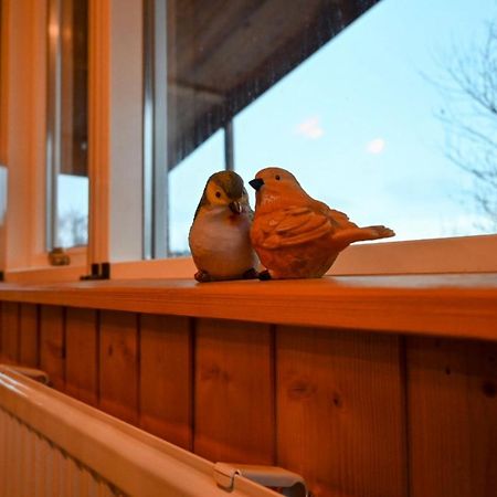 Thingvellir Cabin/Chalet Villa Selfoss Exterior photo